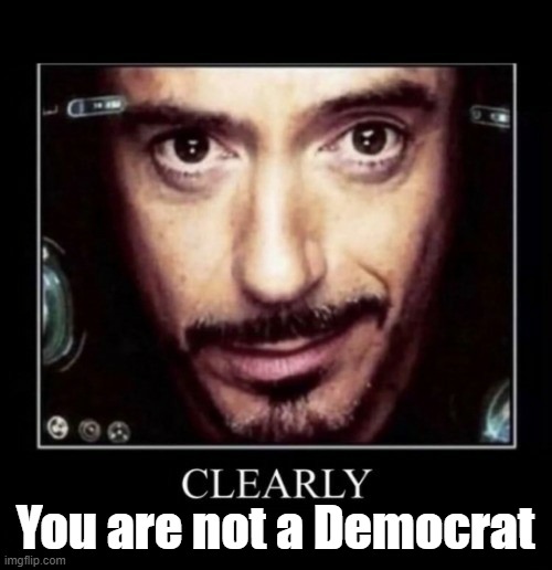 Clearly (you don't own an air fryer) | You are not a Democrat | image tagged in clearly you don't own an air fryer | made w/ Imgflip meme maker