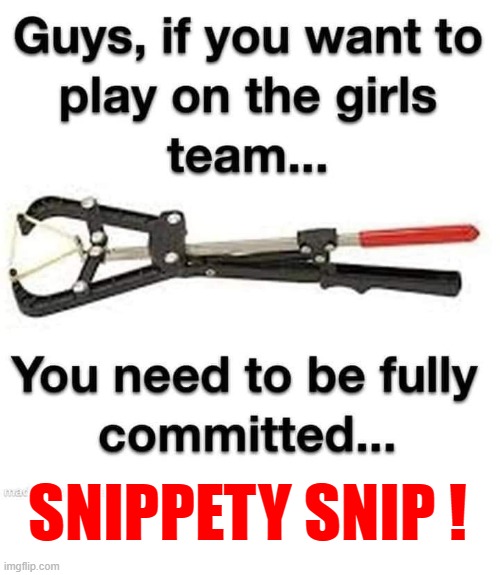Hey guys - wanna play on the girls team ? | SNIPPETY SNIP ! | image tagged in exercise balls | made w/ Imgflip meme maker