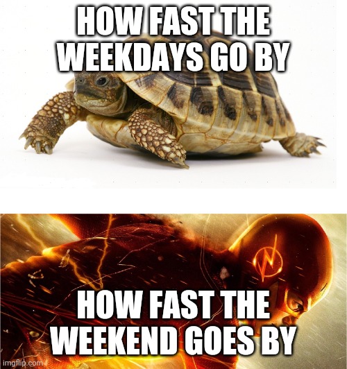 relatable? | HOW FAST THE WEEKDAYS GO BY; HOW FAST THE WEEKEND GOES BY | image tagged in slow vs fast meme | made w/ Imgflip meme maker