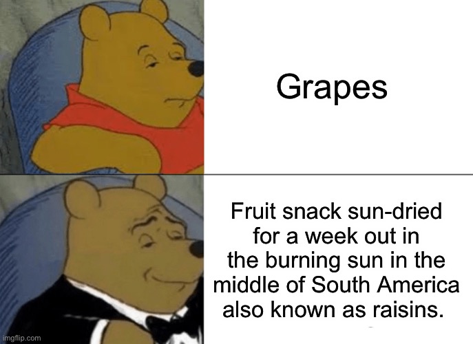 LMAO I JUST DIEDED | Grapes; Fruit snack sun-dried for a week out in the burning sun in the middle of South America also known as raisins. | image tagged in memes,tuxedo winnie the pooh | made w/ Imgflip meme maker