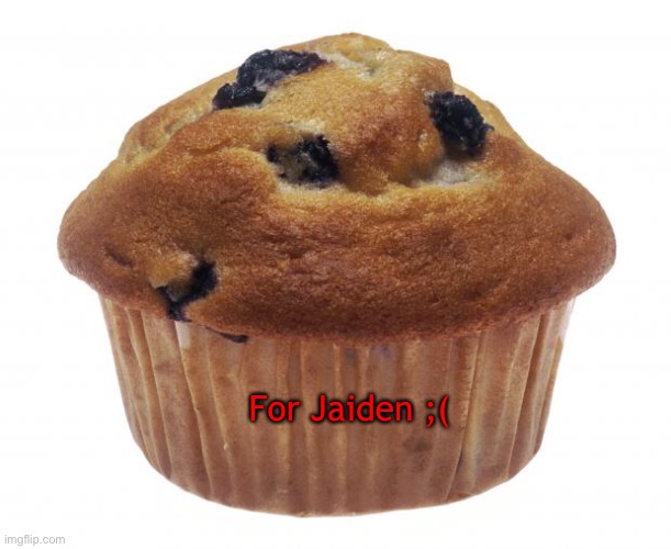 Popular Opinion Muffin | For Jaiden ;( | image tagged in popular opinion muffin | made w/ Imgflip meme maker