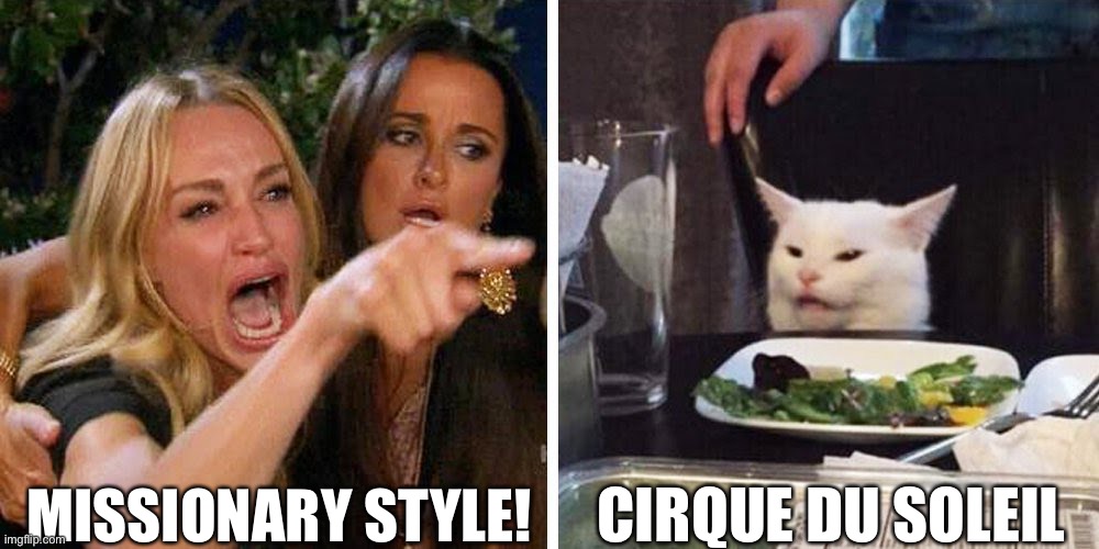 Smudge | MISSIONARY STYLE! CIRQUE DU SOLEIL | image tagged in smudge the cat | made w/ Imgflip meme maker
