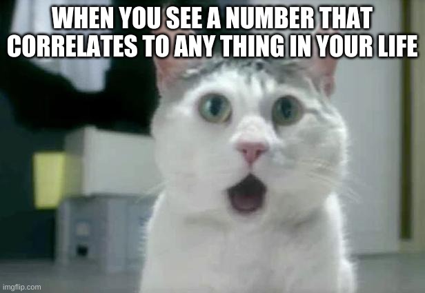 right?! |  WHEN YOU SEE A NUMBER THAT CORRELATES TO ANY THING IN YOUR LIFE | image tagged in memes,omg cat | made w/ Imgflip meme maker