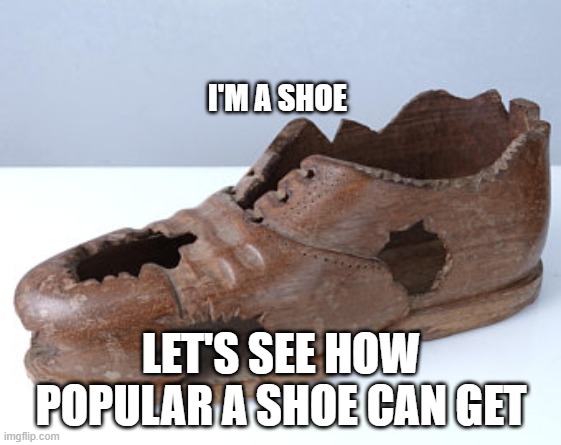 old shoe | I'M A SHOE; LET'S SEE HOW POPULAR A SHOE CAN GET | image tagged in shoe,memes | made w/ Imgflip meme maker
