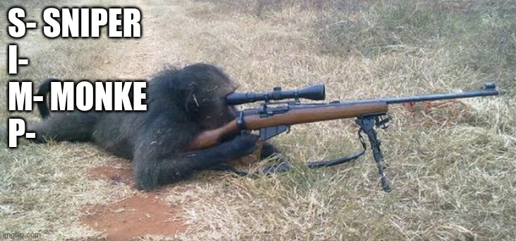 Sniper Monkey | S- SNIPER
I-
M- MONKE
P- | image tagged in sniper monkey | made w/ Imgflip meme maker