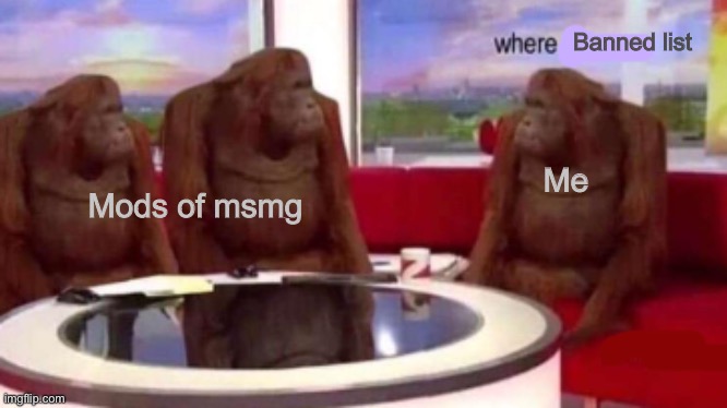 Where banana blank | Banned list; Mods of msmg; Me | image tagged in where banana blank | made w/ Imgflip meme maker