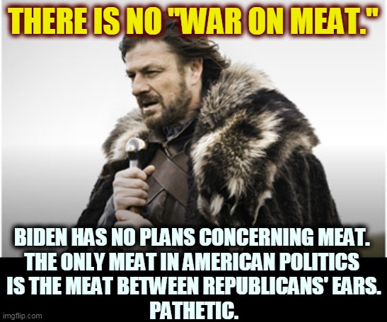 The Republicans have no issues. They make stuff up and waste everybody's time with it. | THERE IS NO "WAR ON MEAT."; BIDEN HAS NO PLANS CONCERNING MEAT. 

THE ONLY MEAT IN AMERICAN POLITICS 
IS THE MEAT BETWEEN REPUBLICANS' EARS.
PATHETIC. | image tagged in sean bean,meat,republicans,pathetic | made w/ Imgflip meme maker