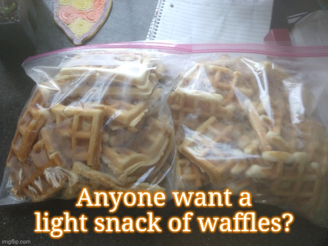 Two gallon bags :v | Anyone want a light snack of waffles? | made w/ Imgflip meme maker