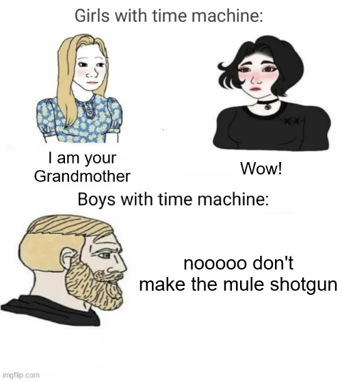 Time machine | I am your Grandmother; Wow! nooooo don't make the mule shotgun | image tagged in time machine,roblox | made w/ Imgflip meme maker