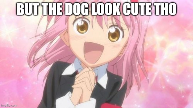 aww anime girl | BUT THE DOG LOOK CUTE THO | image tagged in aww anime girl | made w/ Imgflip meme maker