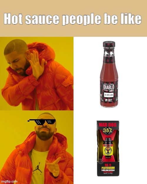 Hot sauce people reality | Hot sauce people be like | image tagged in memes,drake hotline bling | made w/ Imgflip meme maker
