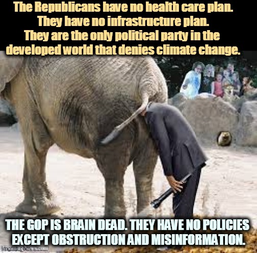 The Republican War on Brains. | The Republicans have no health care plan.
They have no infrastructure plan.
They are the only political party in the 
developed world that denies climate change. THE GOP IS BRAIN DEAD. THEY HAVE NO POLICIES 
EXCEPT OBSTRUCTION AND MISINFORMATION. | image tagged in gop,republican party,brain dead,bankruptcy | made w/ Imgflip meme maker