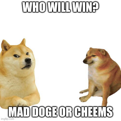WHO WILL WIN? MAD DOGE OR CHEEMS | made w/ Imgflip meme maker