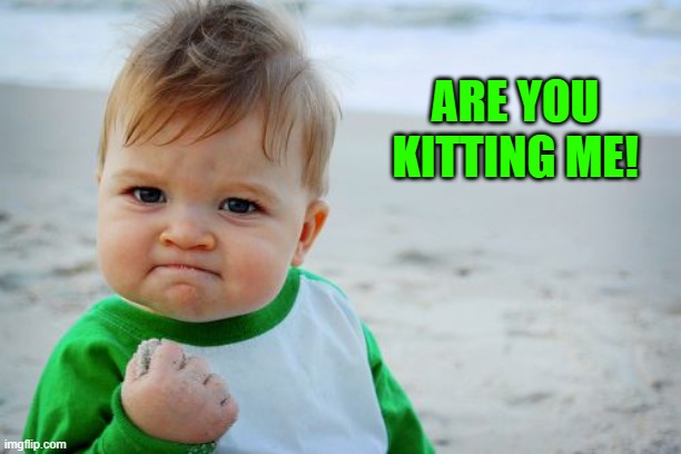 Are you Kitting me! | ARE YOU KITTING ME! | image tagged in memes,success kid original | made w/ Imgflip meme maker