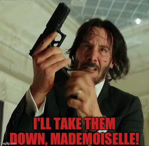 Reloading John Wick/ Keanu Reeves | I'LL TAKE THEM DOWN, MADEMOISELLE! | image tagged in reloading john wick/ keanu reeves | made w/ Imgflip meme maker