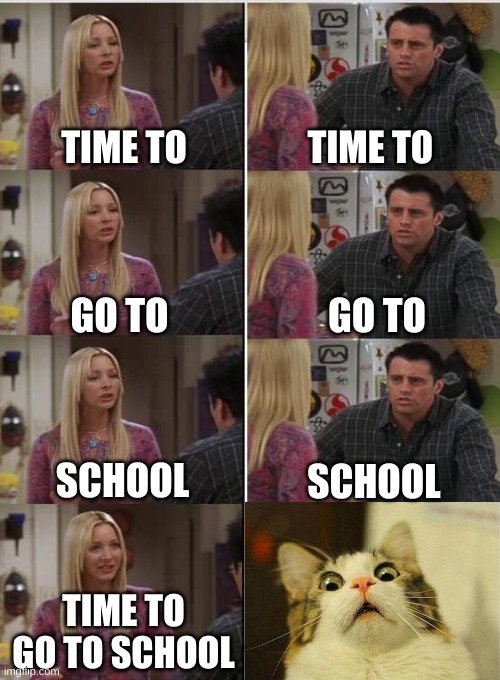 NOT SCHOOL! Just five more minutes! | TIME TO; TIME TO; GO TO; GO TO; SCHOOL; SCHOOL; TIME TO GO TO SCHOOL | image tagged in phoebe joey,funny,scared cat,school | made w/ Imgflip meme maker