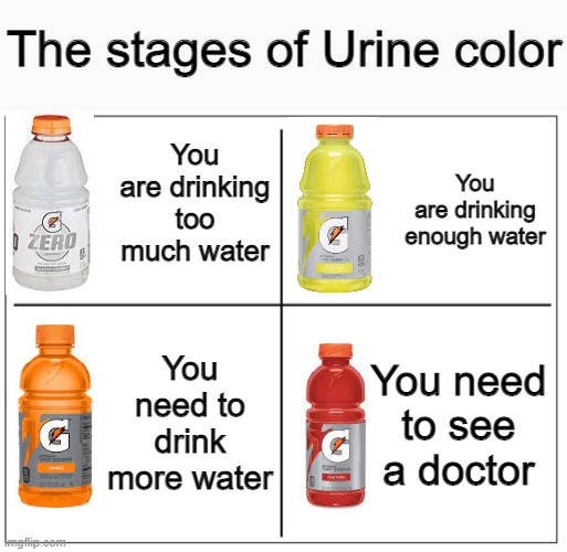 4 Square Grid | The stages of Urine color; You are drinking too much water; You are drinking enough water; You need to drink more water; You need to see a doctor | image tagged in 4 square grid | made w/ Imgflip meme maker