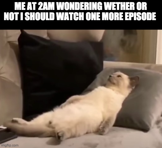 every time I have a party | ME AT 2AM WONDERING WETHER OR NOT I SHOULD WATCH ONE MORE EPISODE | image tagged in friends,bored cat,memes,funny,lol,funny memes | made w/ Imgflip meme maker