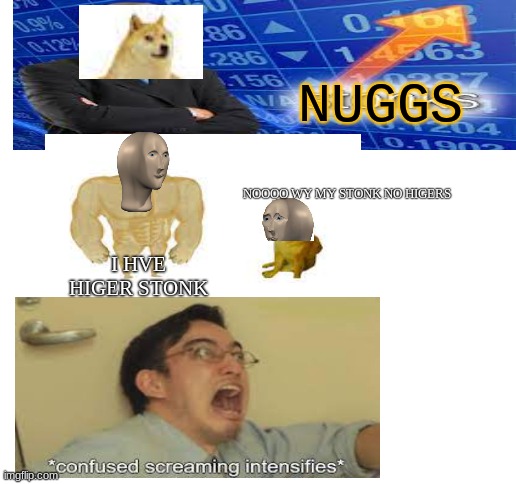 Confuzled | NUGGS; NOOOO WY MY STONK NO HIGERS; I HVE HIGER STONK | image tagged in blank white template,remix,confused,strange,what | made w/ Imgflip meme maker