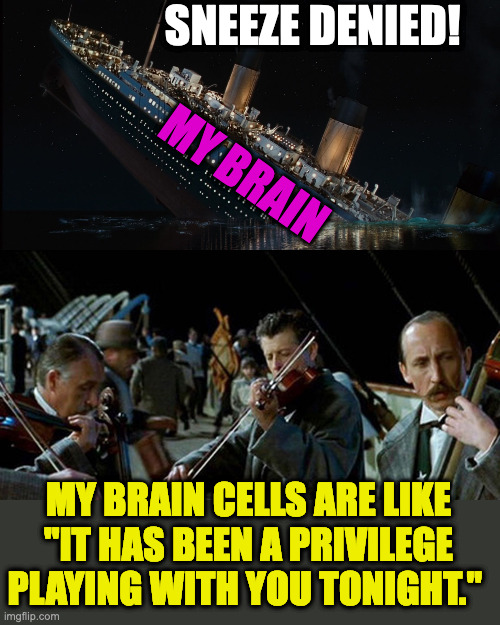 Titanic band | SNEEZE DENIED! MY BRAIN; MY BRAIN CELLS ARE LIKE
"IT HAS BEEN A PRIVILEGE PLAYING WITH YOU TONIGHT." | image tagged in titanic band | made w/ Imgflip meme maker