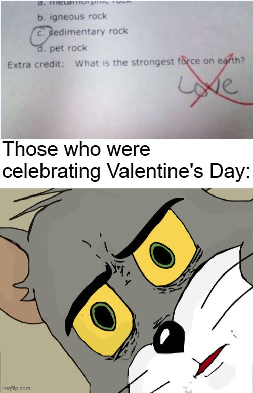 Wow, who knew this test took place at Jerome Horwitz Elementary School. SAD. | Those who were celebrating Valentine's Day: | image tagged in blank white template,memes,unsettled tom,false teachers,sad but true,heartless teachers | made w/ Imgflip meme maker