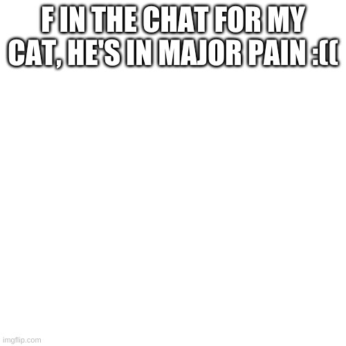 :(((((( | F IN THE CHAT FOR MY CAT, HE'S IN MAJOR PAIN :(( | image tagged in memes,blank transparent square | made w/ Imgflip meme maker