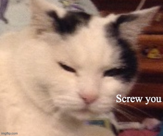 Screw you | image tagged in screw you | made w/ Imgflip meme maker