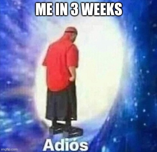 Adios | ME IN 3 WEEKS | image tagged in adios | made w/ Imgflip meme maker
