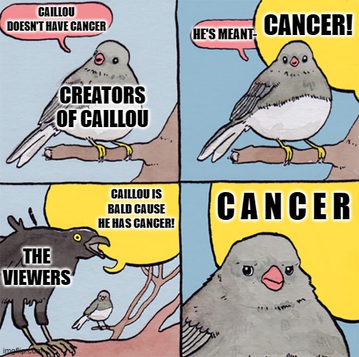 Interrupting bird | CANCER! CAILLOU DOESN'T HAVE CANCER; HE'S MEANT-; CREATORS OF CAILLOU; CAILLOU IS BALD CAUSE HE HAS CANCER! C A N C E R; THE VIEWERS | image tagged in interrupting bird | made w/ Imgflip meme maker
