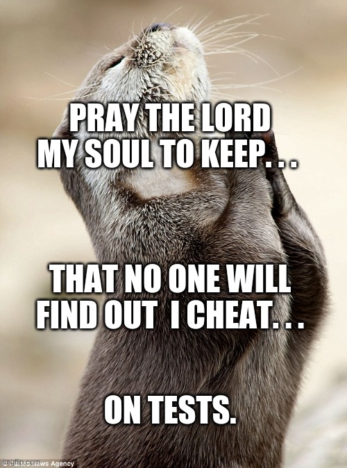 i do tho | PRAY THE LORD MY SOUL TO KEEP. . . THAT NO ONE WILL FIND OUT  I CHEAT. . . ON TESTS. | image tagged in praying otter | made w/ Imgflip meme maker