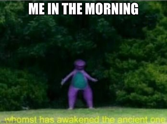 If you wake me up your death is near and I will destroy your family |  ME IN THE MORNING | image tagged in whomst has awakened the ancient one | made w/ Imgflip meme maker
