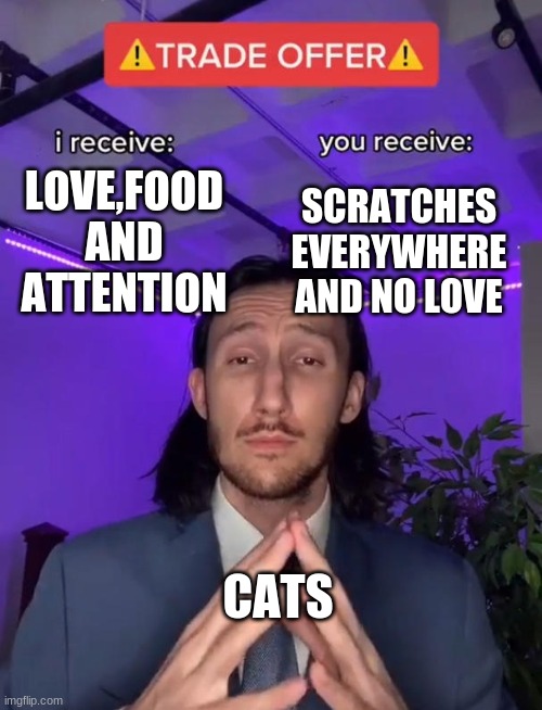 Trade Offer | SCRATCHES EVERYWHERE AND NO LOVE; LOVE,FOOD AND ATTENTION; CATS | image tagged in trade offer | made w/ Imgflip meme maker