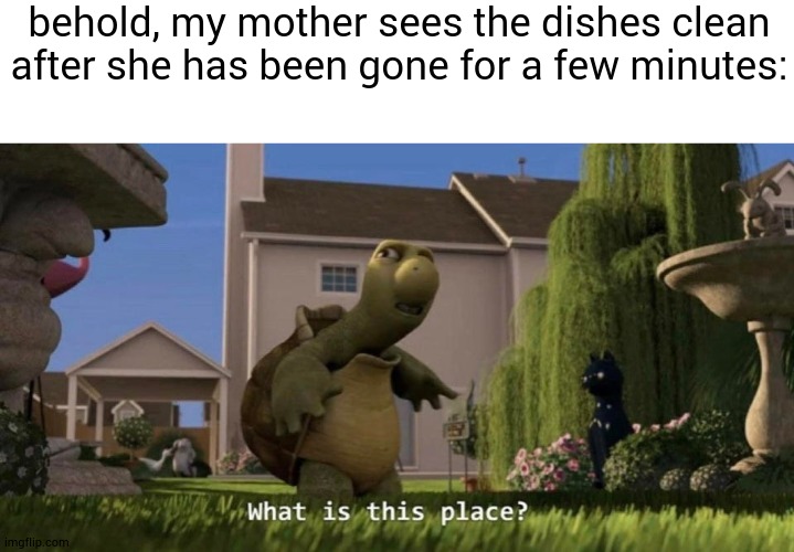 sorry if the memes are bad | behold, my mother sees the dishes clean after she has been gone for a few minutes: | image tagged in what is this place | made w/ Imgflip meme maker