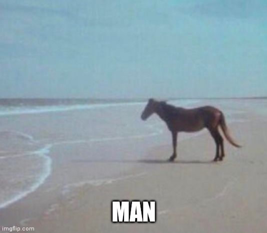Man Horse Water | MAN | image tagged in man horse water | made w/ Imgflip meme maker