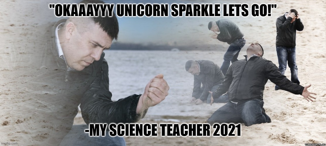 stuff my teachers say outta context | "OKAAAYYY UNICORN SPARKLE LETS GO!"; -MY SCIENCE TEACHER 2021 | image tagged in guy with sand in the hands of despair | made w/ Imgflip meme maker