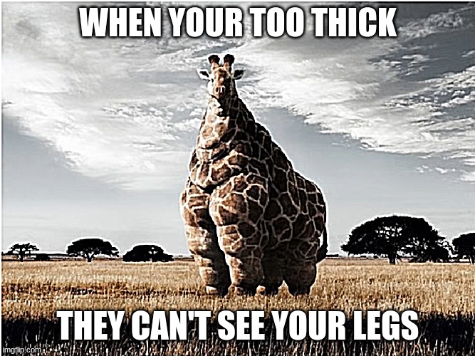 fat girrafe | WHEN YOUR TOO THICK; THEY CAN'T SEE YOUR LEGS | image tagged in fat girrafe | made w/ Imgflip meme maker