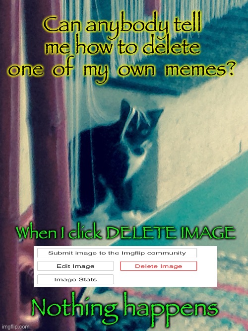Sophie needs help | Can anybody tell me how to delete
one  of  my  own  memes? When I click DELETE IMAGE; Nothing happens | image tagged in cat,pussy cat,cool cat,puss puss,dear cat,here kitty kitty | made w/ Imgflip meme maker