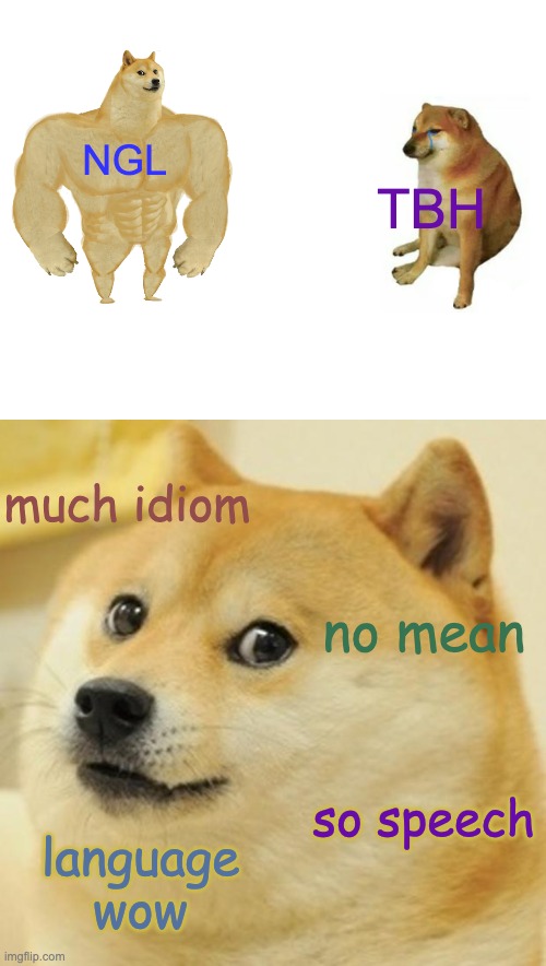 NGL vs TBH | NGL; TBH; much idiom; no mean; so speech; language wow | image tagged in memes,buff doge vs cheems,doge | made w/ Imgflip meme maker