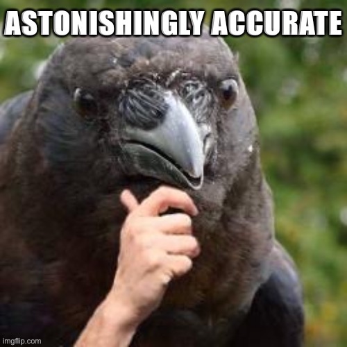 Astonishingly accurate Raven | image tagged in astonishingly accurate raven | made w/ Imgflip meme maker