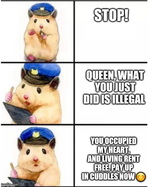 Officer Hamster | STOP! QUEEN, WHAT YOU JUST DID IS ILLEGAL; YOU OCCUPIED MY HEART, AND LIVING RENT FREE. PAY UP IN CUDDLES NOW 😊 | image tagged in officer hamster | made w/ Imgflip meme maker