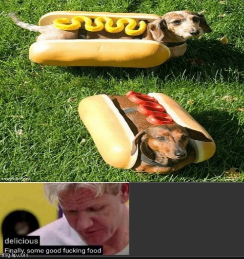 Mmmm scrumptious (cropped the name) | image tagged in blank white template,hotdog,delicious,gordon ramsay some good food | made w/ Imgflip meme maker