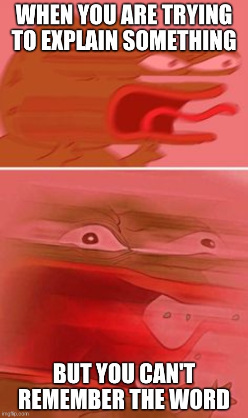 ANGERIER PEPE | WHEN YOU ARE TRYING TO EXPLAIN SOMETHING BUT YOU CAN'T REMEMBER THE WORD | image tagged in angerier pepe | made w/ Imgflip meme maker