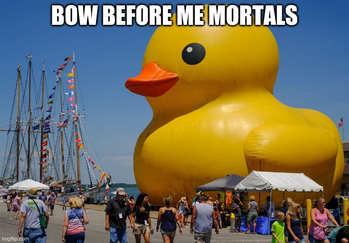 mortals | BOW BEFORE ME MORTALS | image tagged in large | made w/ Imgflip meme maker