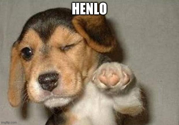 Winking Dog | HENLO | image tagged in winking dog | made w/ Imgflip meme maker