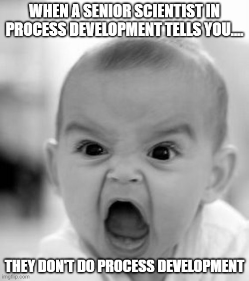 Angry Baby Meme | WHEN A SENIOR SCIENTIST IN PROCESS DEVELOPMENT TELLS YOU.... THEY DON'T DO PROCESS DEVELOPMENT | image tagged in memes,angry baby | made w/ Imgflip meme maker