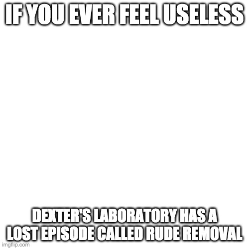 Blank Transparent Square Meme | IF YOU EVER FEEL USELESS; DEXTER'S LABORATORY HAS A LOST EPISODE CALLED RUDE REMOVAL | image tagged in memes,blank transparent square | made w/ Imgflip meme maker