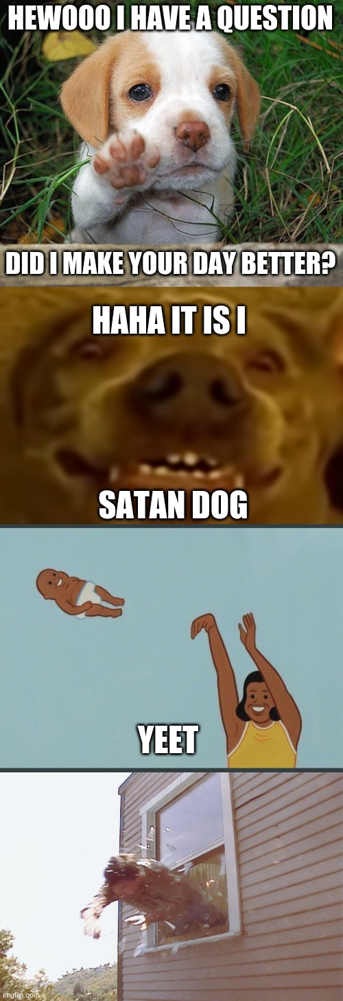 YEETUS | HEWOOO I HAVE A QUESTION; DID I MAKE YOUR DAY BETTER? HAHA IT IS I; SATAN DOG; YEET | image tagged in dog puppy bye,satan doggo,baby yeet,jump out a window | made w/ Imgflip meme maker