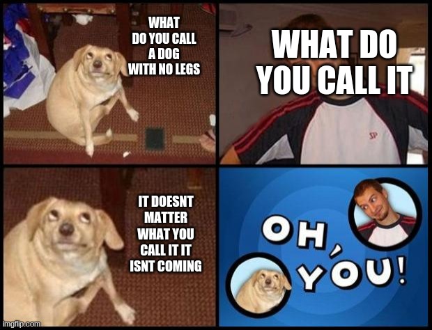 Oh You | WHAT DO YOU CALL A DOG WITH NO LEGS; WHAT DO YOU CALL IT; IT DOESNT MATTER WHAT YOU CALL IT IT ISNT COMING | image tagged in oh you | made w/ Imgflip meme maker