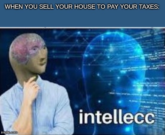 I had no choice but to do it myself | WHEN YOU SELL YOUR HOUSE TO PAY YOUR TAXES: | image tagged in intellecc | made w/ Imgflip meme maker