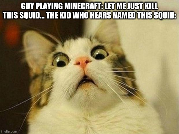Scared Cat Meme | GUY PLAYING MINECRAFT: LET ME JUST KILL THIS SQUID... THE KID WHO HEARS NAMED THIS SQUID: | image tagged in memes,scared cat | made w/ Imgflip meme maker